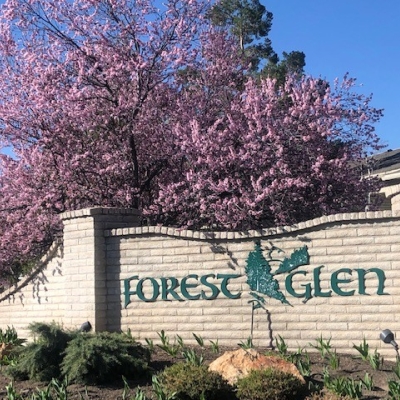 A  MAIN ENTRANCE WITH PLUM IN FULL BLOOM