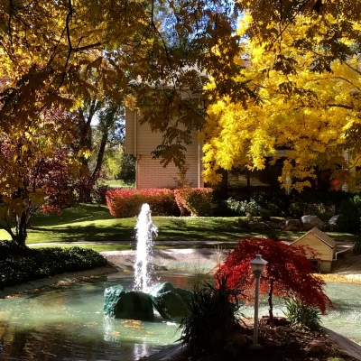 A SUMMER HORSESHOE POND