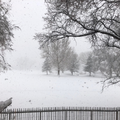 A  WINTER GOLF COURSE